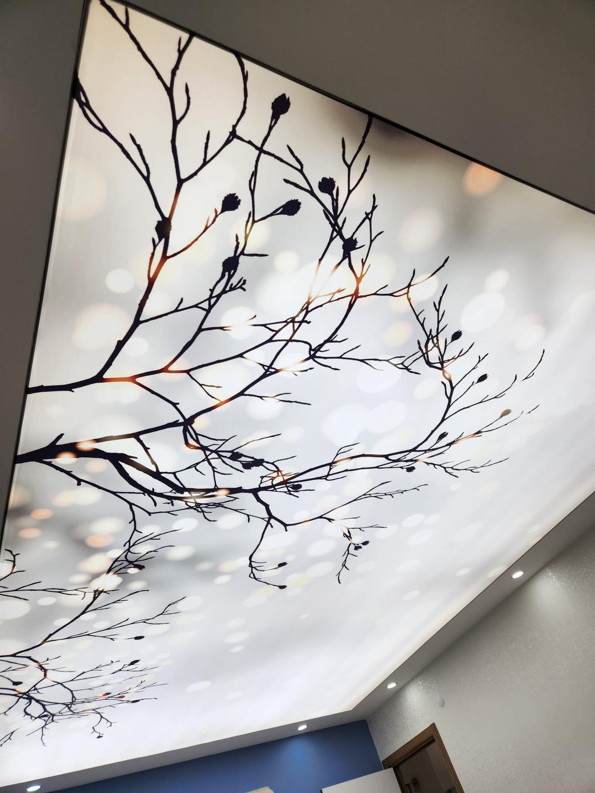 Antalya Gergi Tavan Uygulama Hizmeti